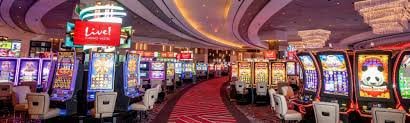 djbet55