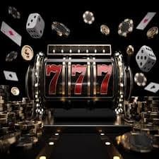 djbet55